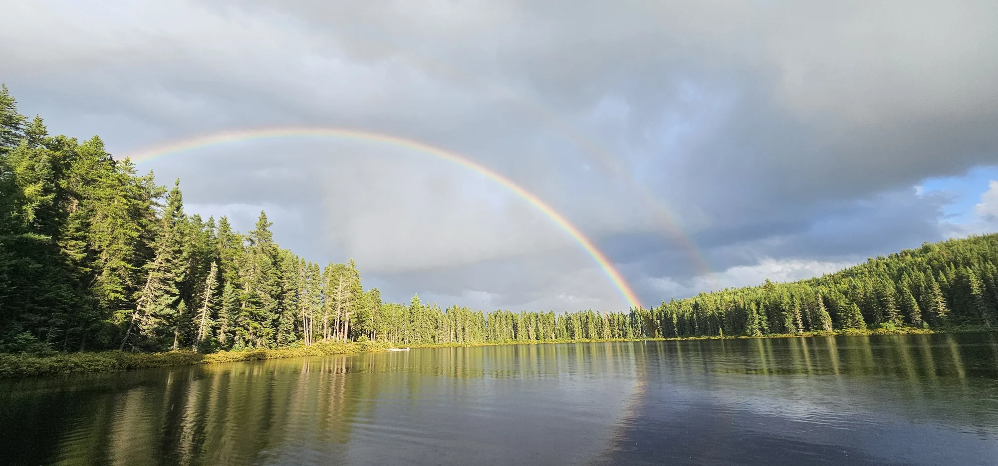 Arc-en-ciel au-dessus d’un lac bordé de conifères.